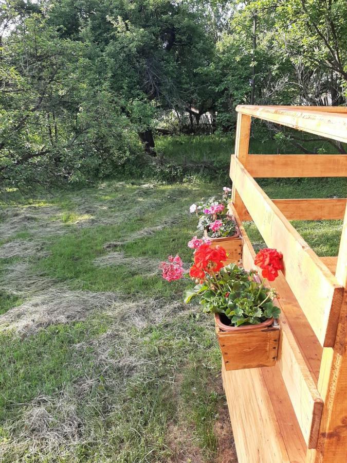 Cabana Din Livada Pucioasa Extérieur photo
