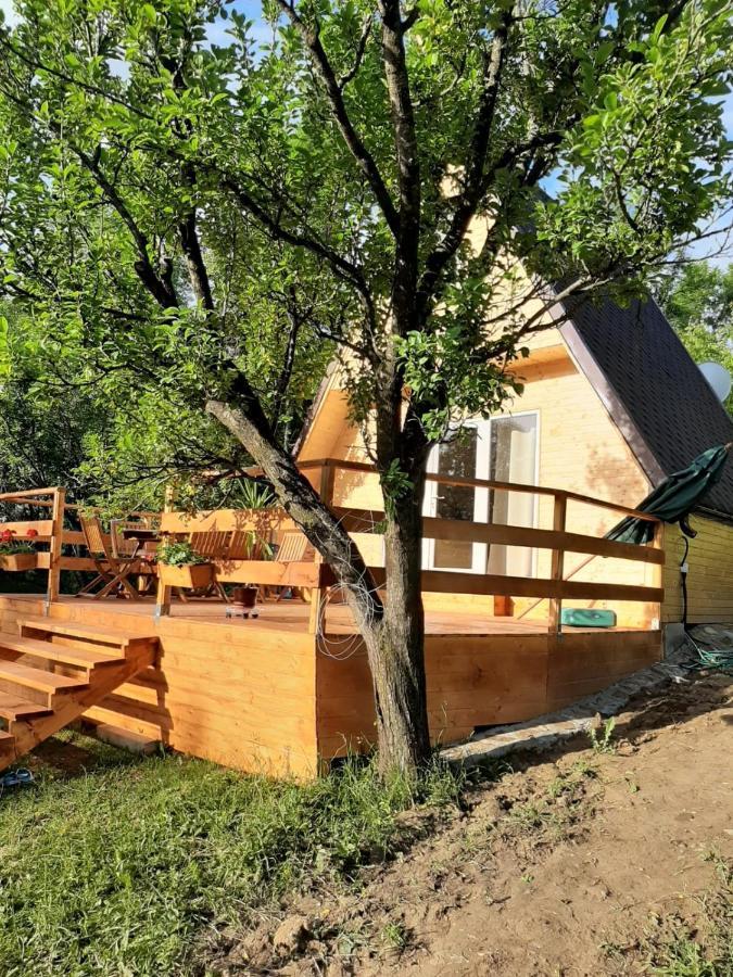 Cabana Din Livada Pucioasa Extérieur photo