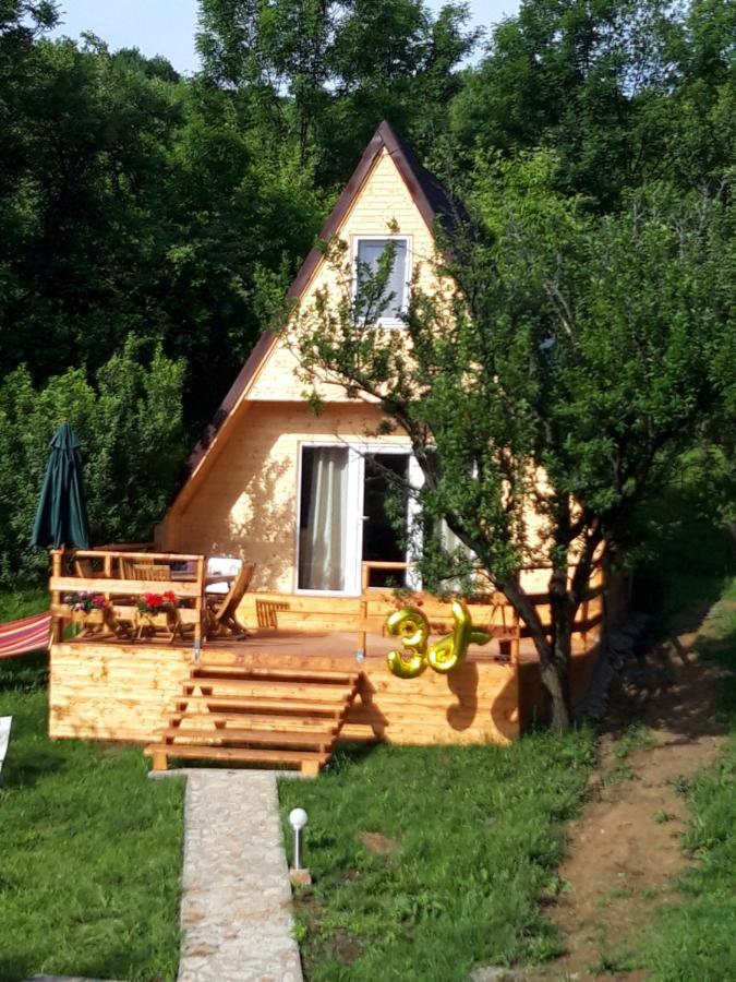 Cabana Din Livada Pucioasa Extérieur photo